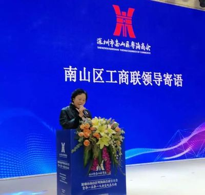 南山首個(gè)街道商會(huì)成立，匯聚業(yè)界精英，賦能企業(yè)市場(chǎng)開發(fā)新篇章