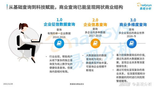 商業(yè)查詢已成社會(huì)信用基石，中國商業(yè)查詢市場(chǎng)發(fā)展機(jī)遇與企業(yè)在咨詢服務(wù)下的市場(chǎng)策略